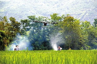 珠海拟推行农用无人机防控农业源头污染
