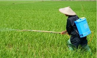 河南新乡开展新 农药管理条例 宣传工作
